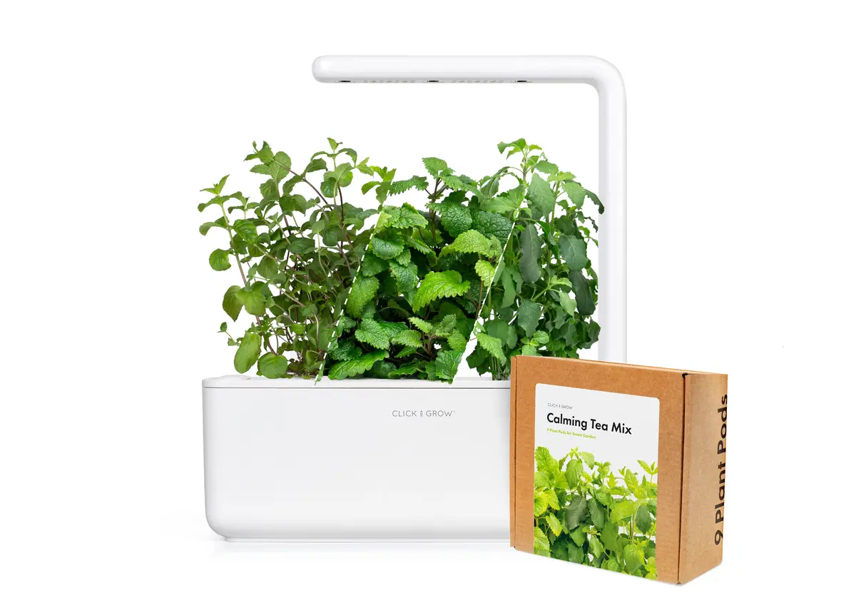 Small "Herbal Tea" Kit 1