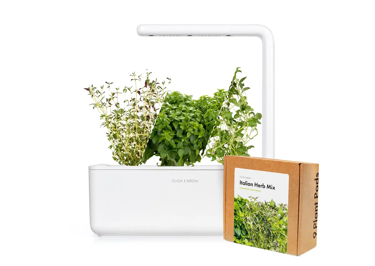 Small "Italian Herb" Kit 1