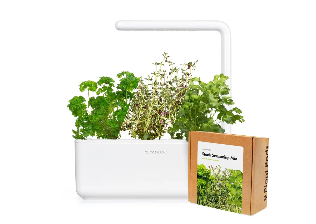 Small "Steak Seasoning" Kit 1