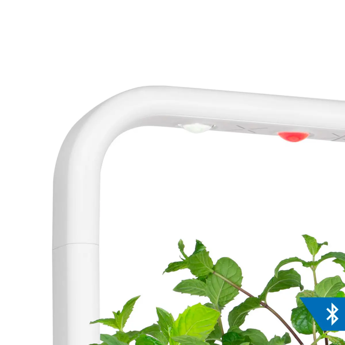 The Smart Garden 9 Lamp With Bluetooth 1