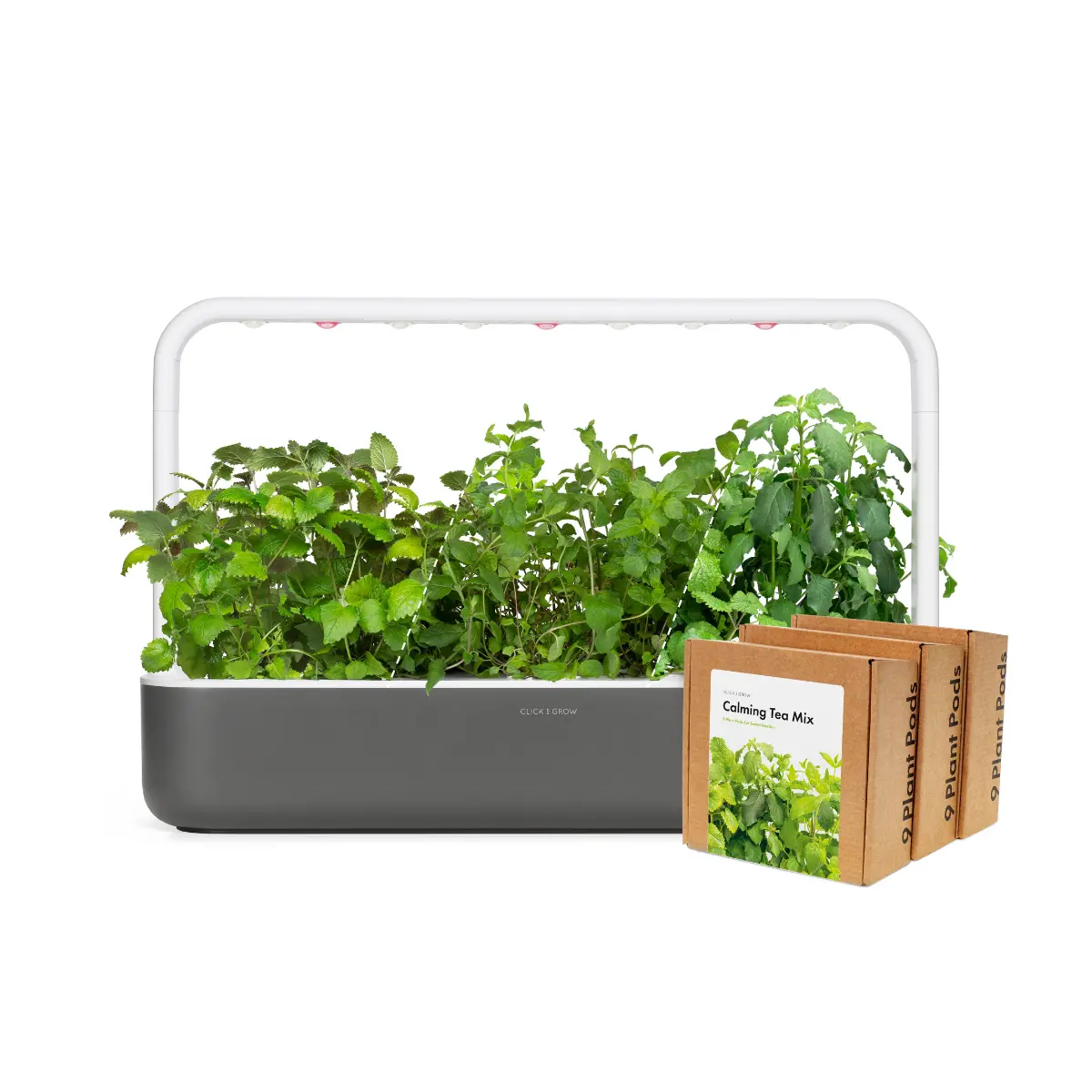 Big "Herbal Tea" Kit 1