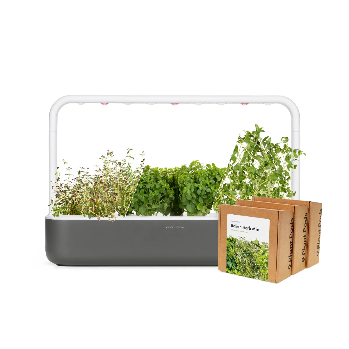 Big "Italian Herb" Kit 1
