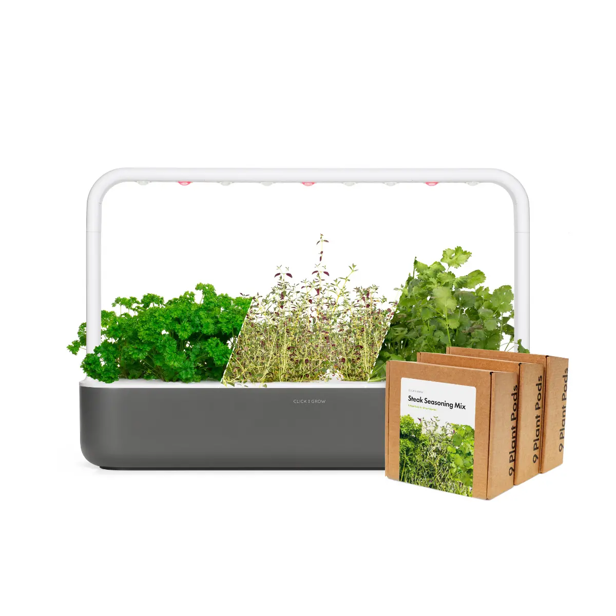 Big "Steak Seasoning" Kit 1
