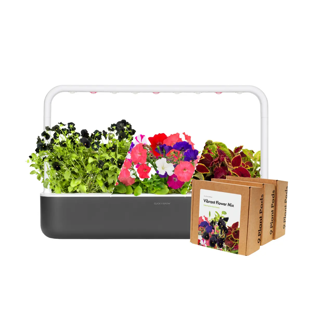 Big "Vibrant Flower" Kit 1