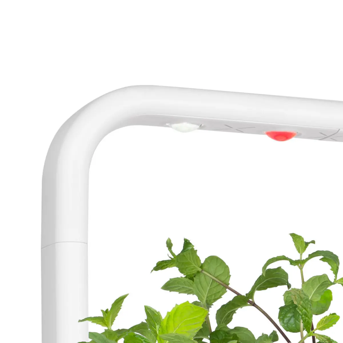 The Smart Garden 9 Lamp 1
