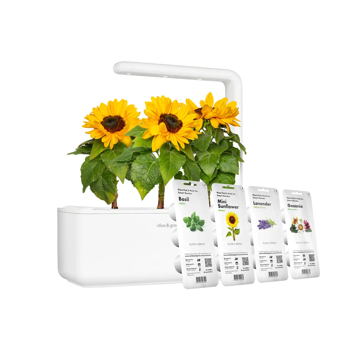 Flower Garden Bundle 1