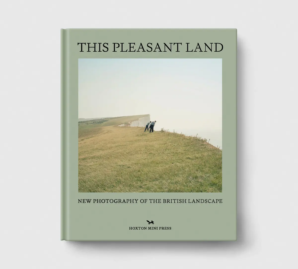 This Pleasant Land 1