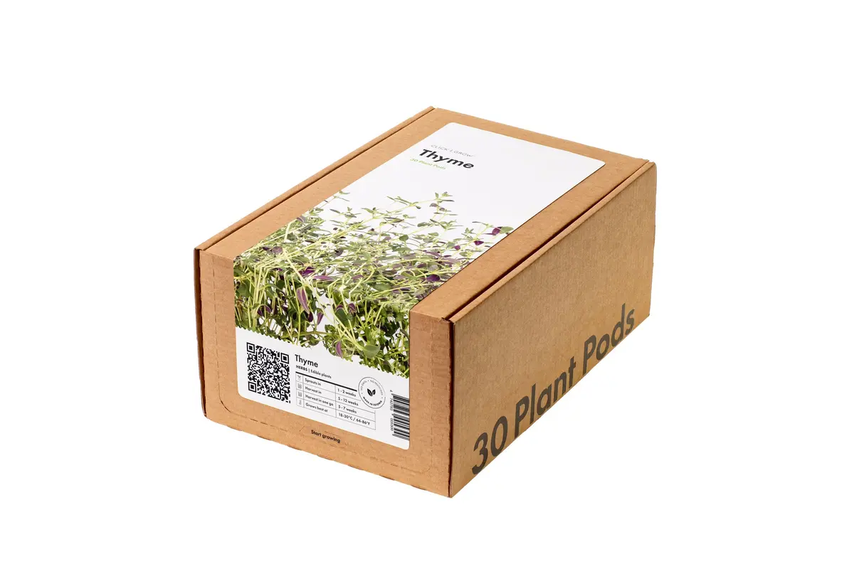 Thyme Plant Pods 30-Pack 1