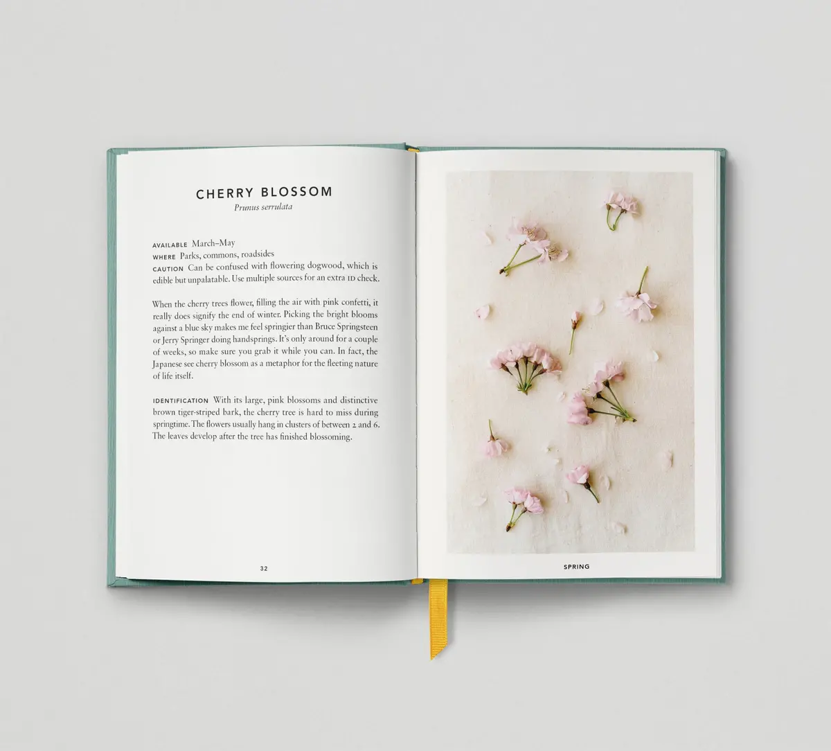 The Urban Forager 2