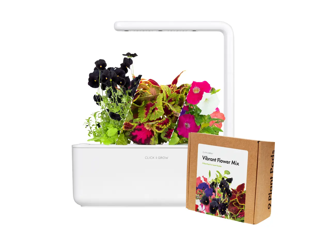 Small "Vibrant Flower" Kit 1