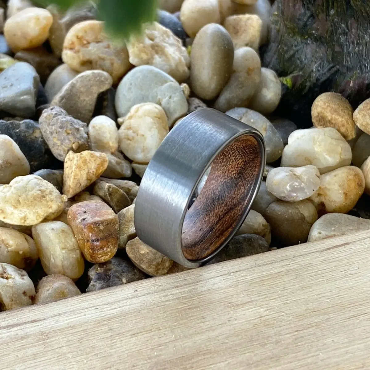 Canoli | Bocote Wood, Silver Tungsten Ring, Brushed, Flat 5