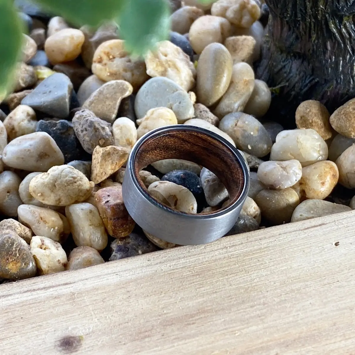 Canoli | Bocote Wood, Silver Tungsten Ring, Brushed, Flat 6