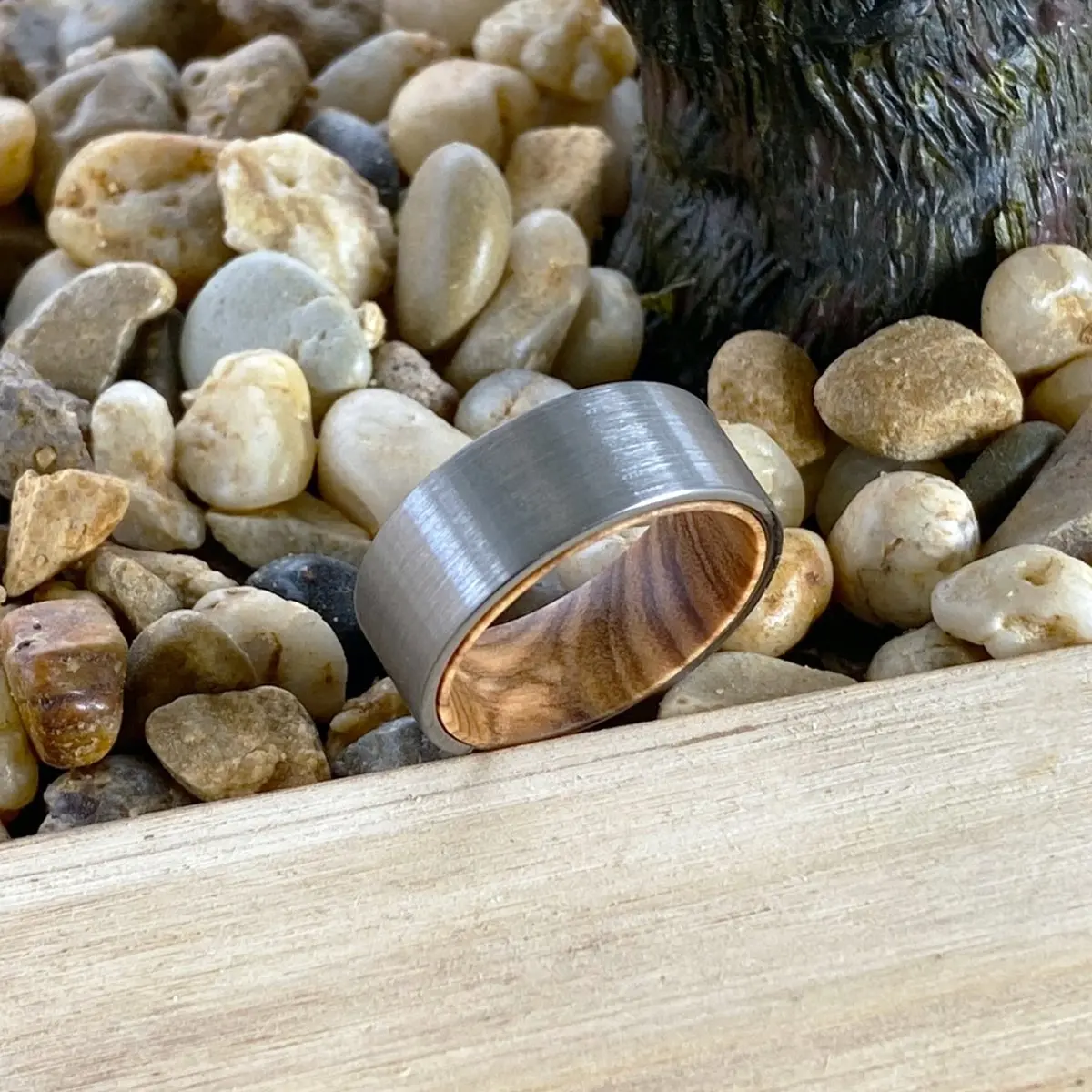 Collet | Olive Wood, Silver Tungsten Ring, Brushed, Flat 6