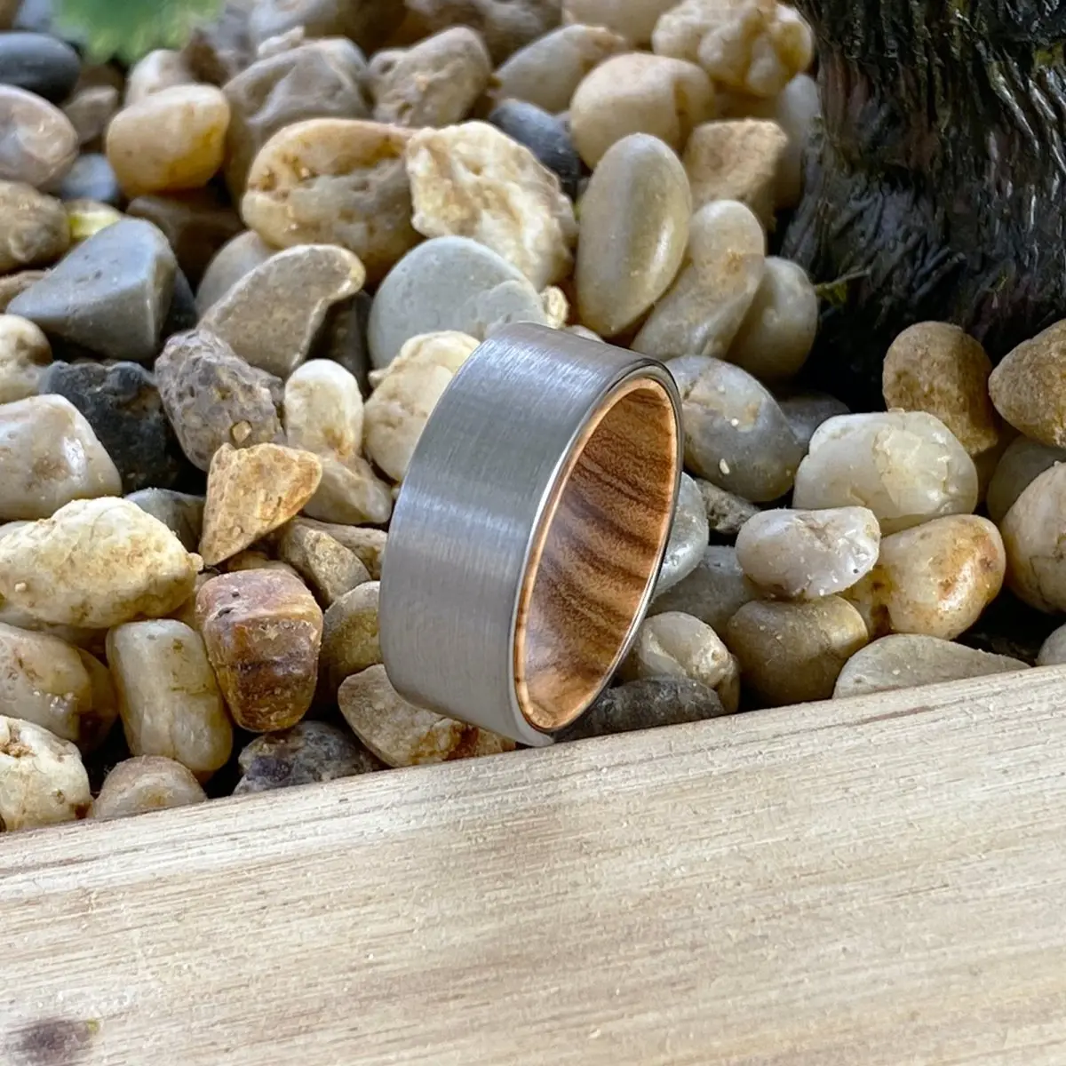 Collet | Olive Wood, Silver Tungsten Ring, Brushed, Flat 5