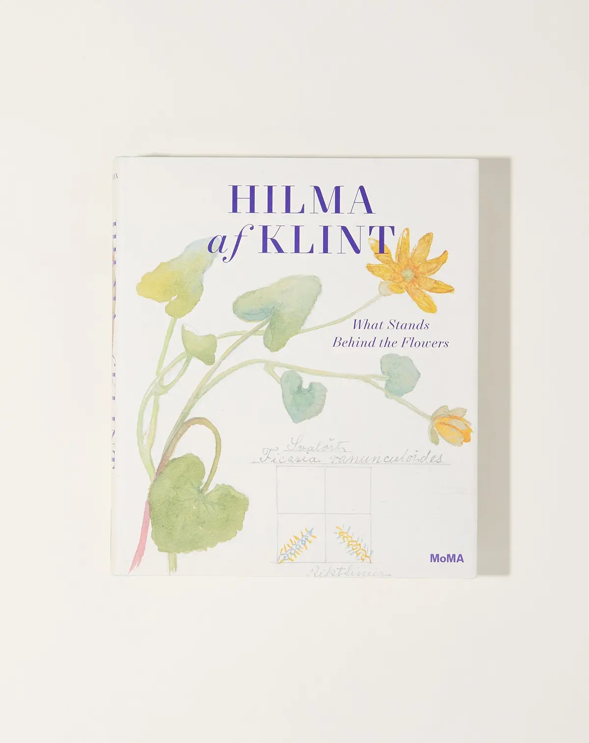 Hilma Af Klint: What Stands Behind The Flowers 1