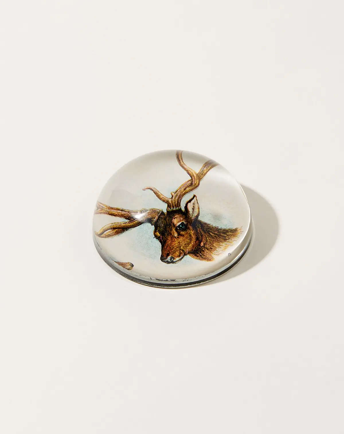 11 Tipped Deer Dome Paperweight 1