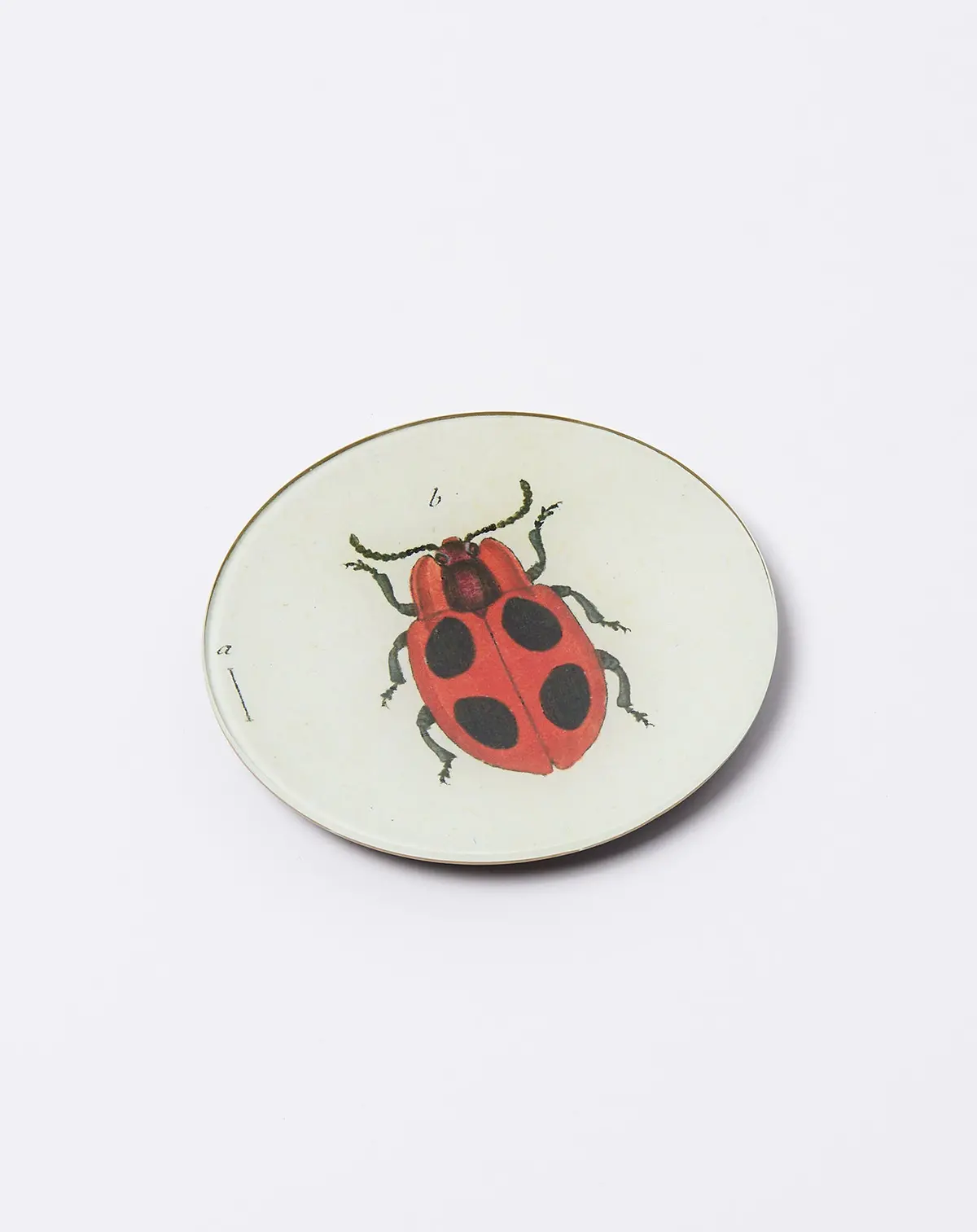 Big Dot Lady Bug 5 3/4" Round 1