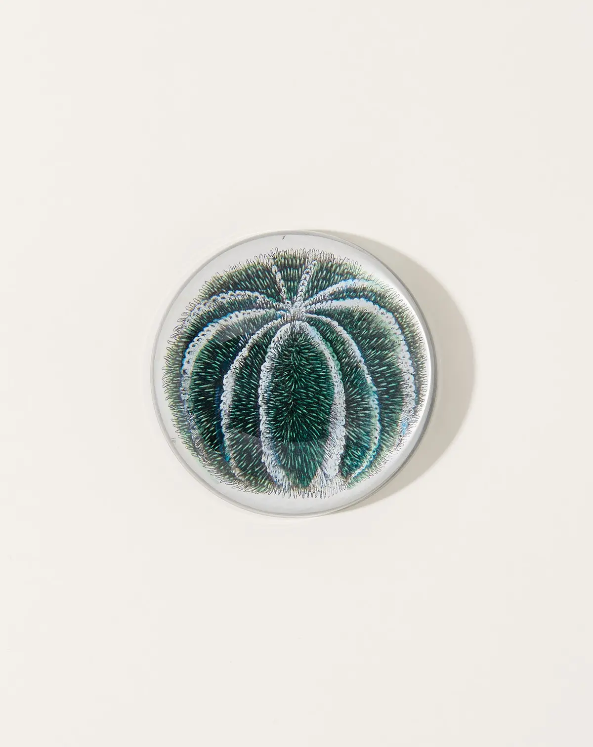 Blue Sea Urchin Dome Paperweight 1