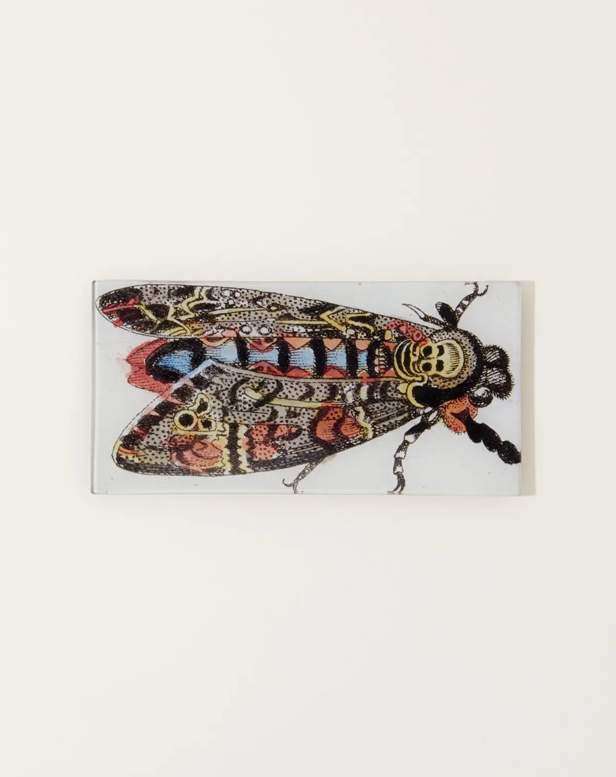 Death Head Moth Rectangular Tray 1