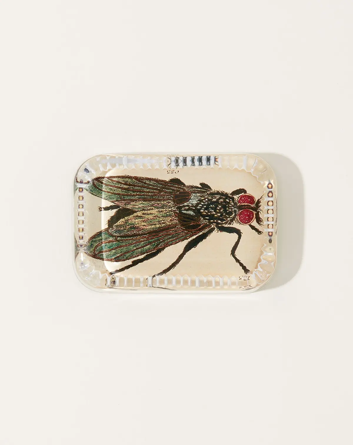 Fly Dotted Edge Paperweight 1