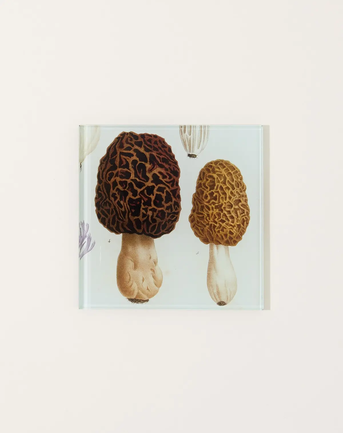 Morel Spoon Rest 1