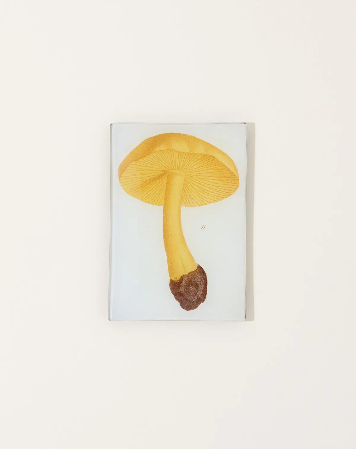 Mushroom Fig. 6 Mini Tray 1