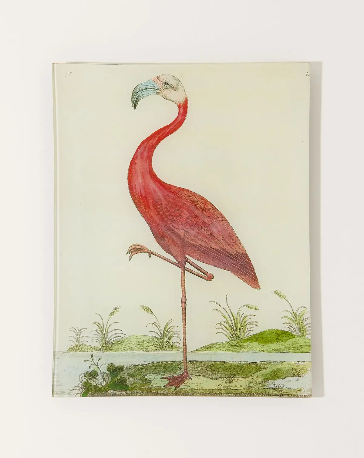 #13 Flamingo Tray 1