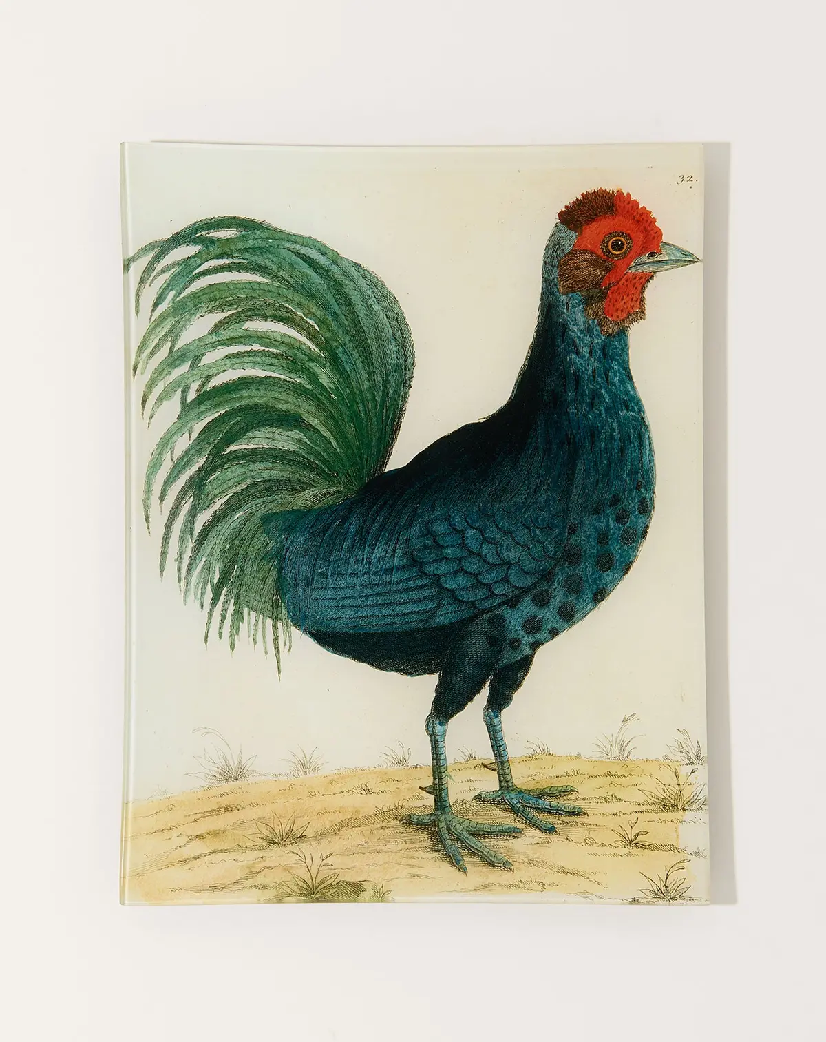 #17 Hamburg Cock Tray 1