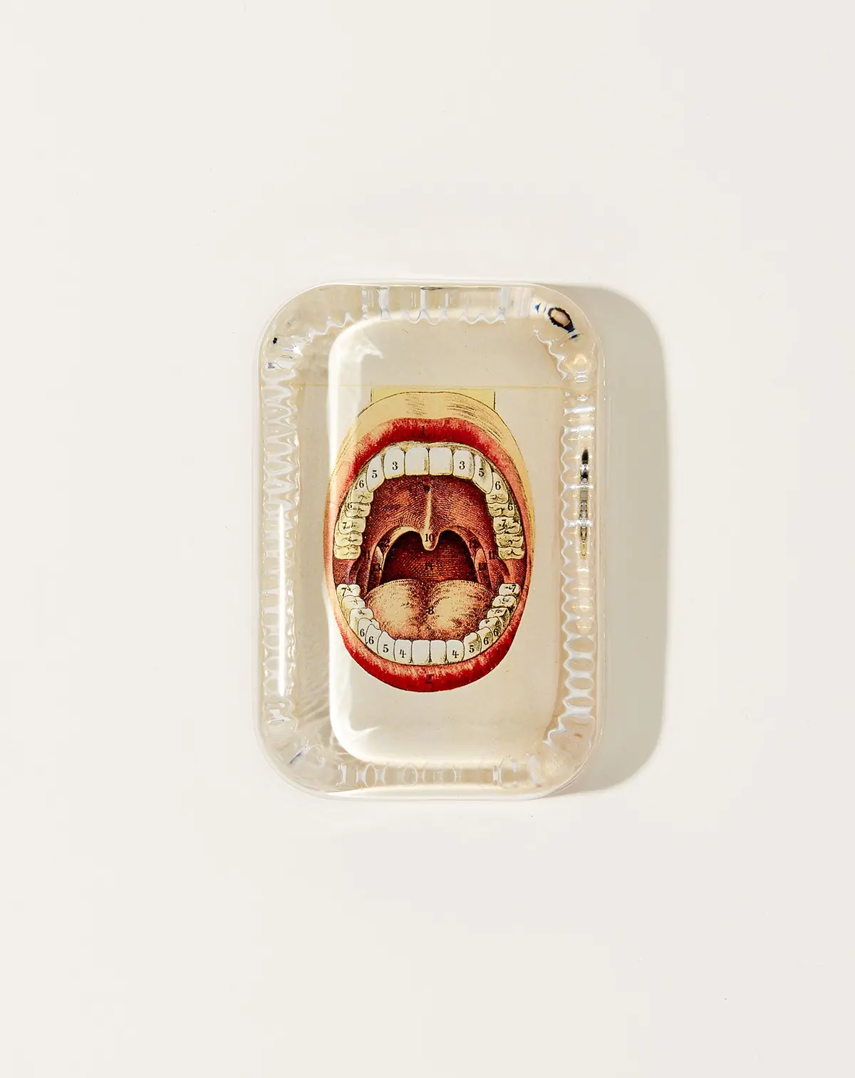 Stephen Dotted Edge Paperweight 1