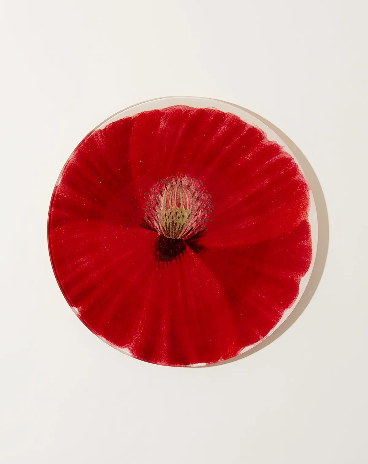 Wild Rose Poppy 10" Round 1