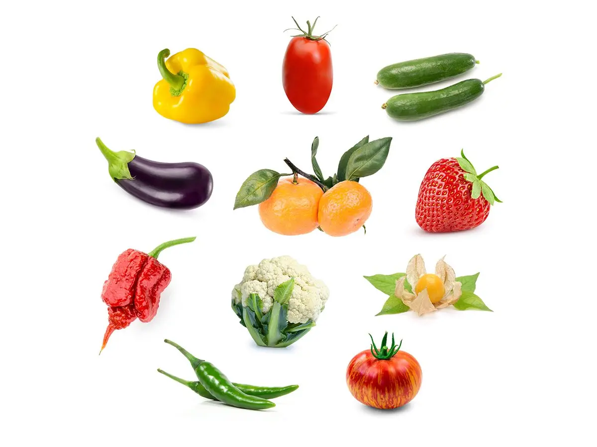 Grow Anything Plant Pods 3-Pack (Optimised For Fruiting Plants) 1