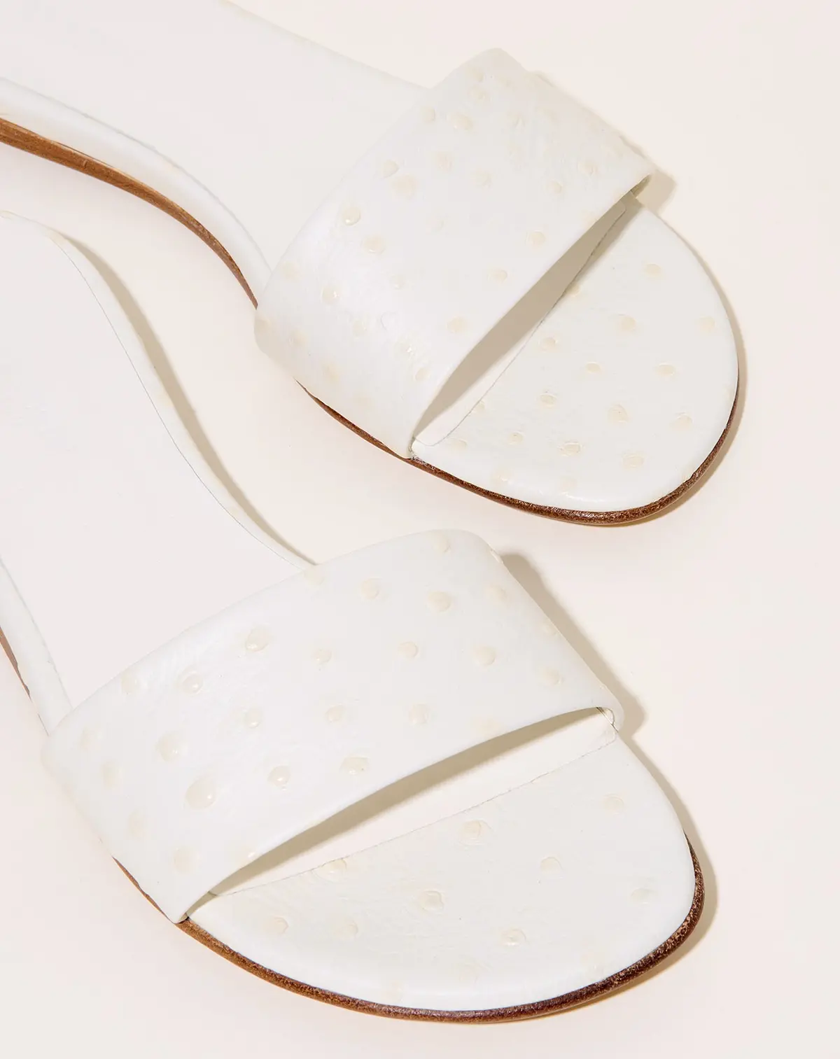 Pool Slide In Ivory 1