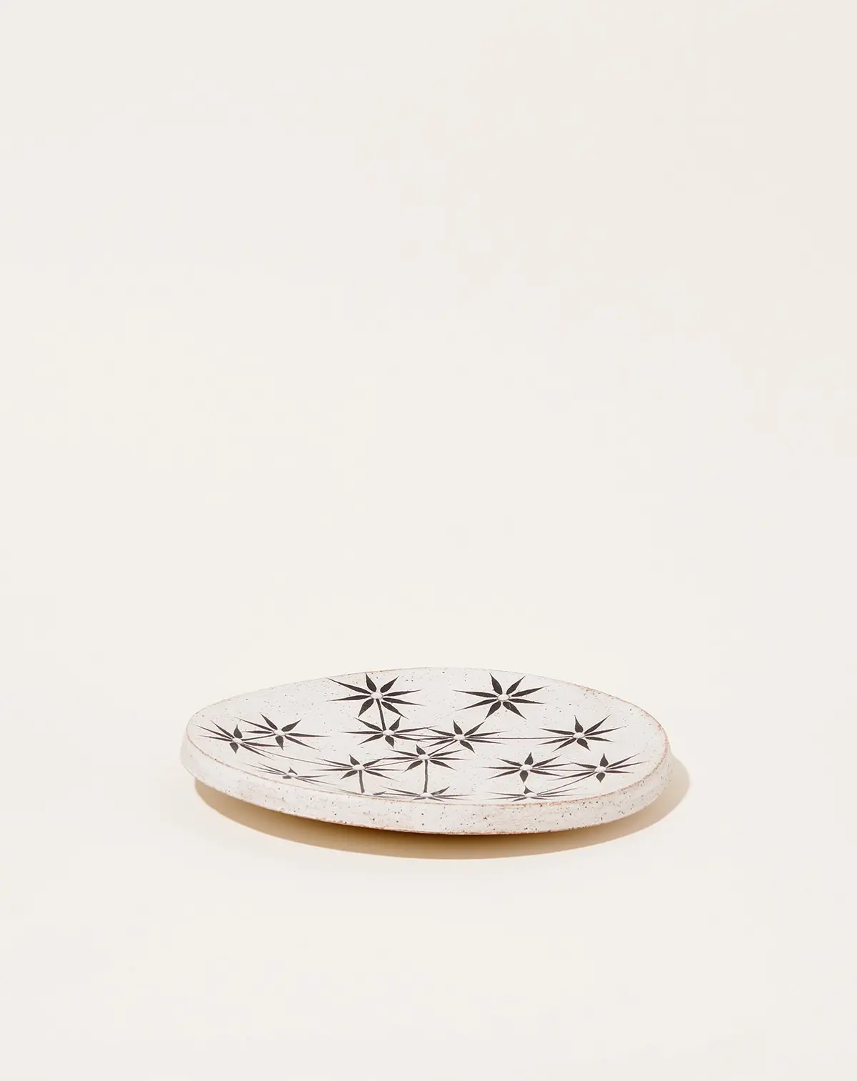 Large Dish In Constellations 1