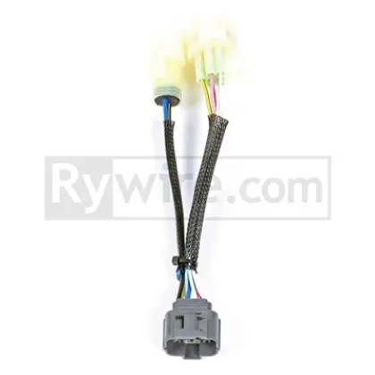Rywire Obd0 To Obd2a 10-Pin Distributor Adapter 1