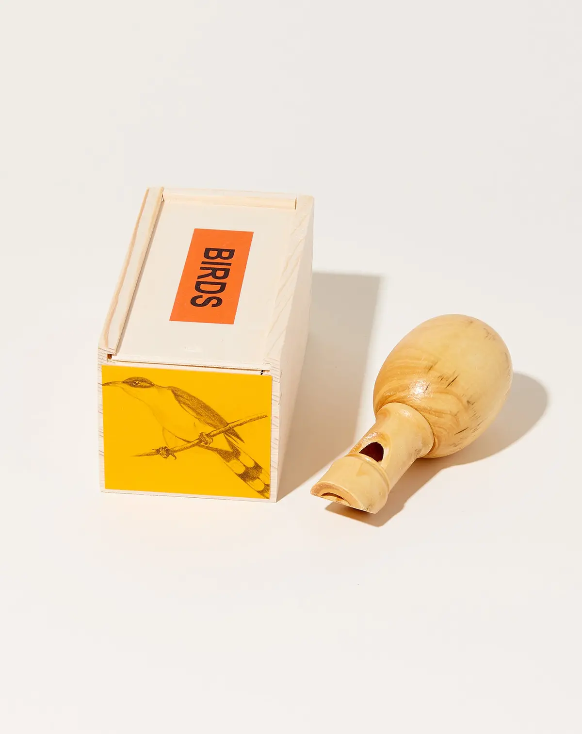 Black Billed Cuckoo Bird Call 1
