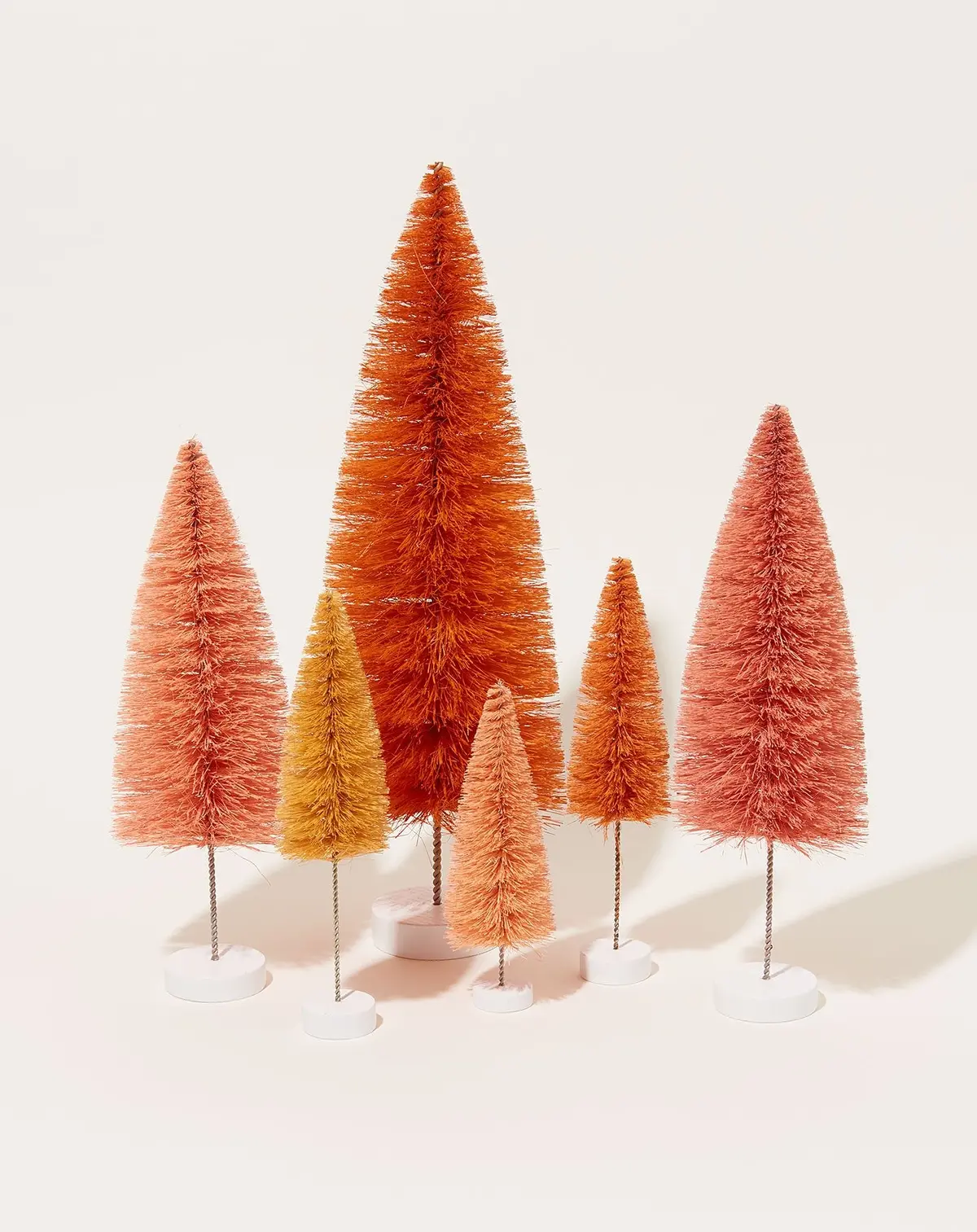 Bottle Brush Trees In Orange 1