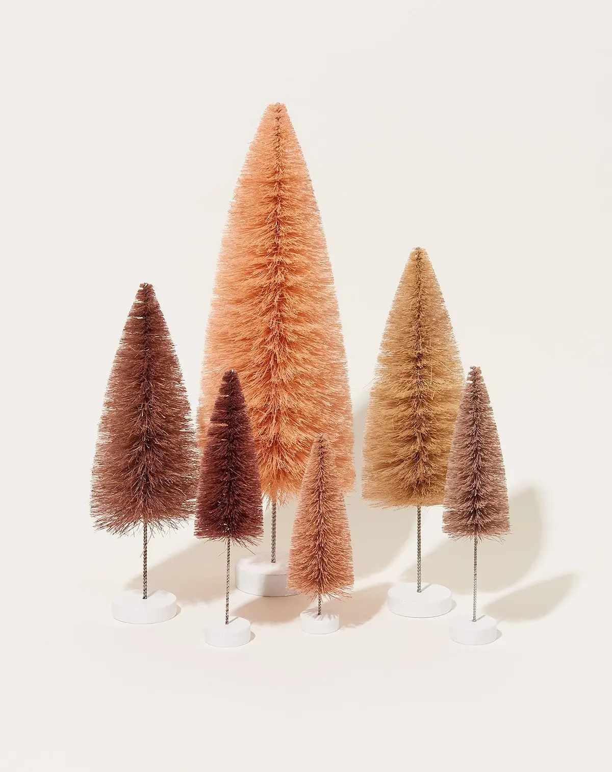 Bottle Brush Trees In Rose 1