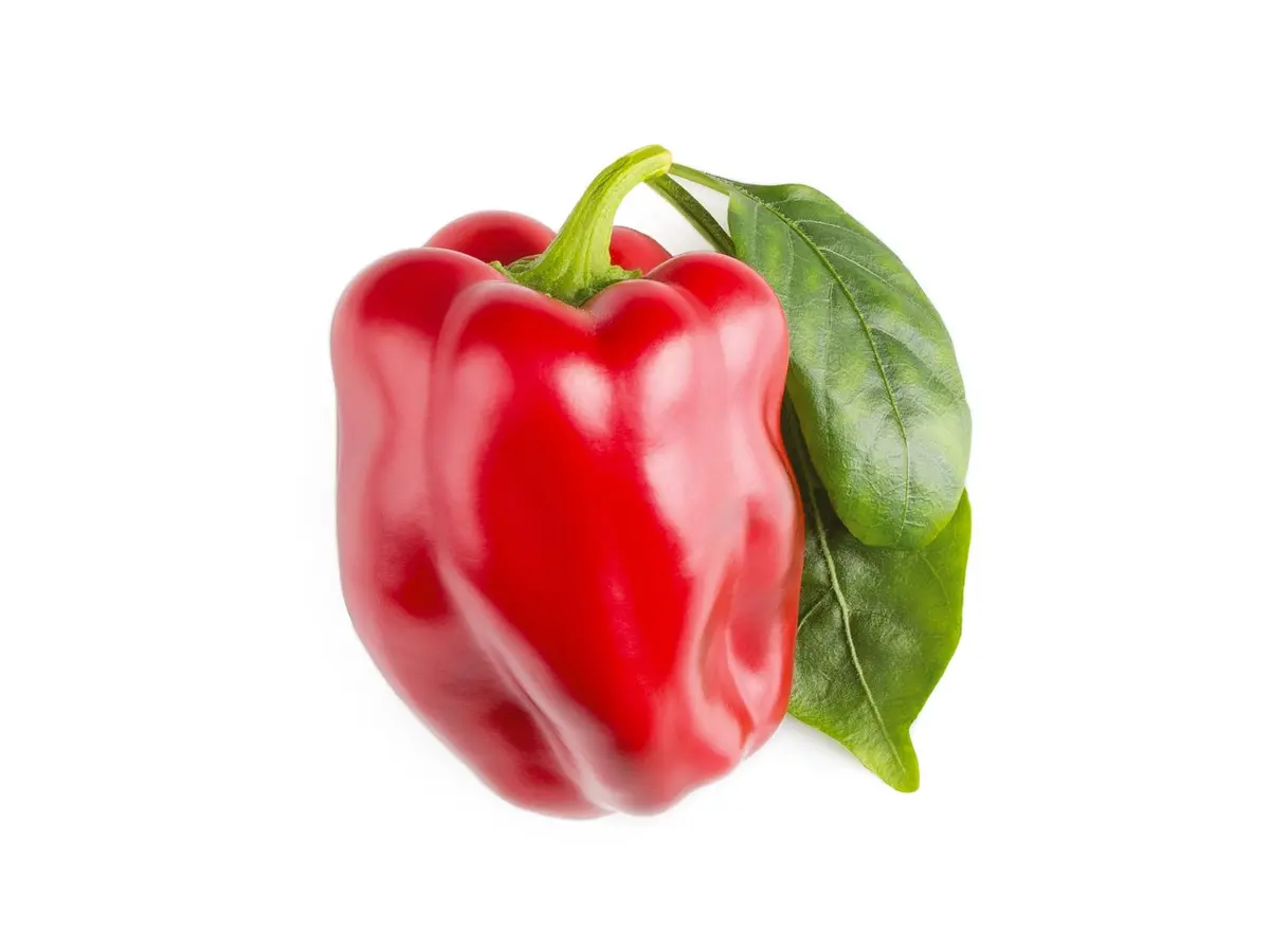 Red Sweet Pepper Plant Pods 3-Pack 1