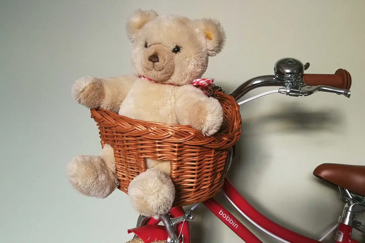 Teddy Wicker Bike Basket 1