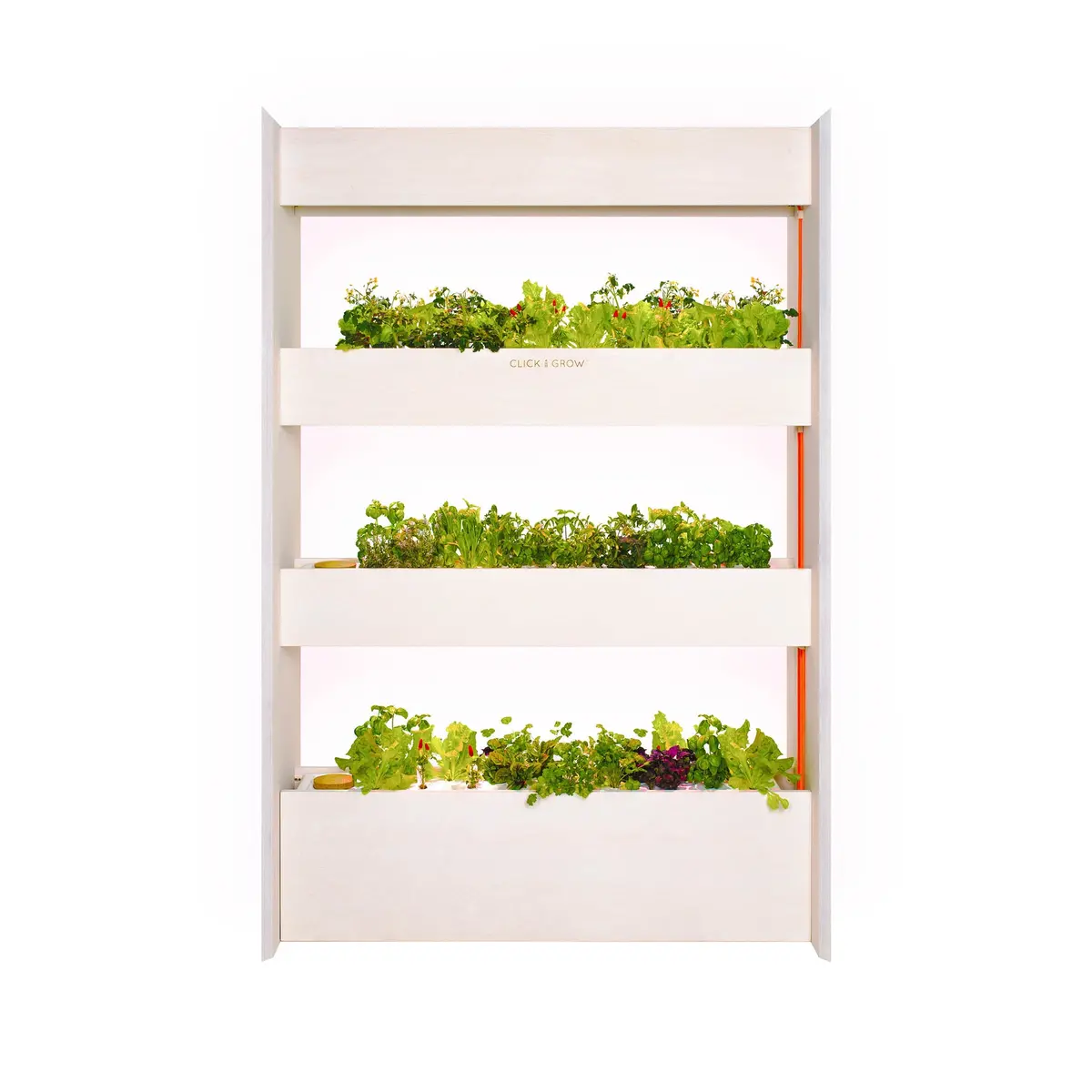 The Wall Farm Indoor Vertical Garden 1