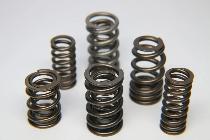 Ferrea Dual Valve Spring Set For Vw Vr6 2.8L 12V Engines – 12-Piece Kit 1