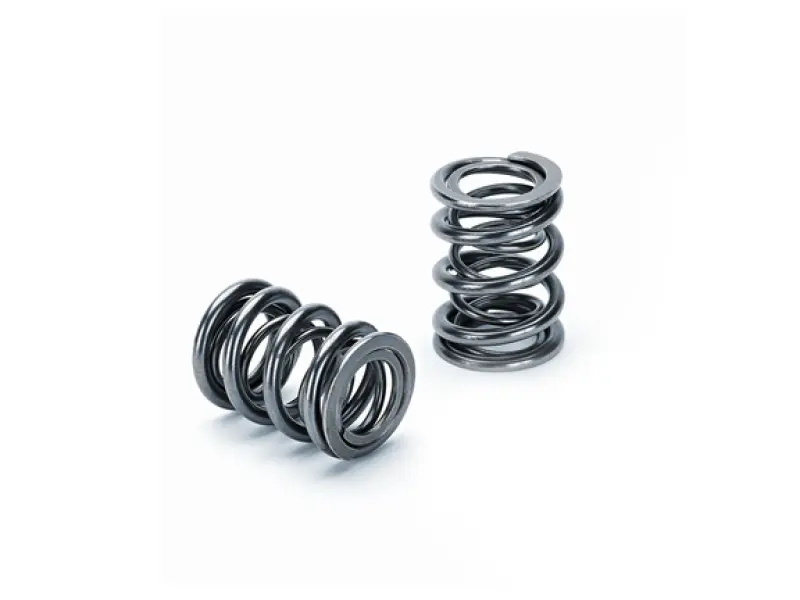 Supertech Dual Valve Spring Kit For Honda K20/K24 Engines – Single Pack (Drop Ship) 1