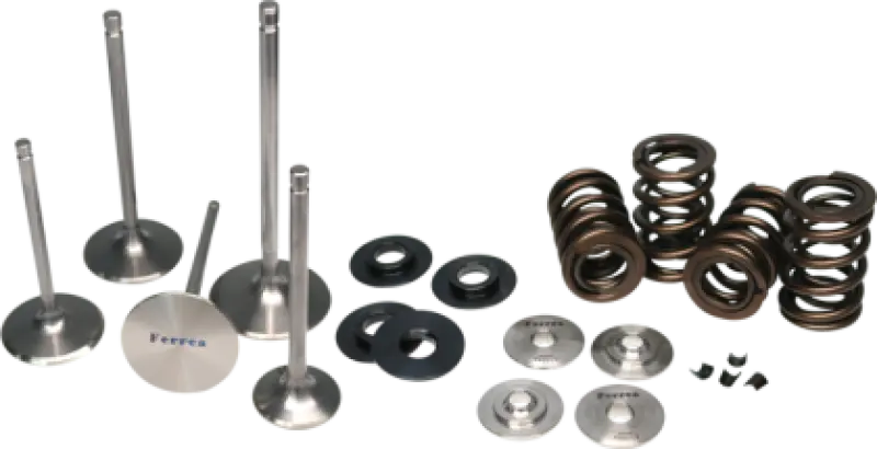 Ferrea Single Valve Spring Kit – Compatible With 2008–2009 Honda Crf250R 1